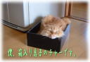 DȂ̂ˁ`