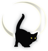 lɂȂN